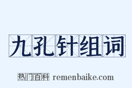 九孔针组词是什么意思的图片